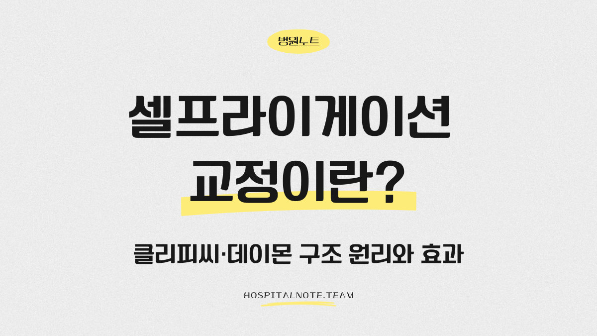 셀프라이게이션 교정 데이몬·클리피씨 구조와 효과를 설명하는 안내 이미지